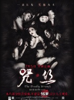 女总经理